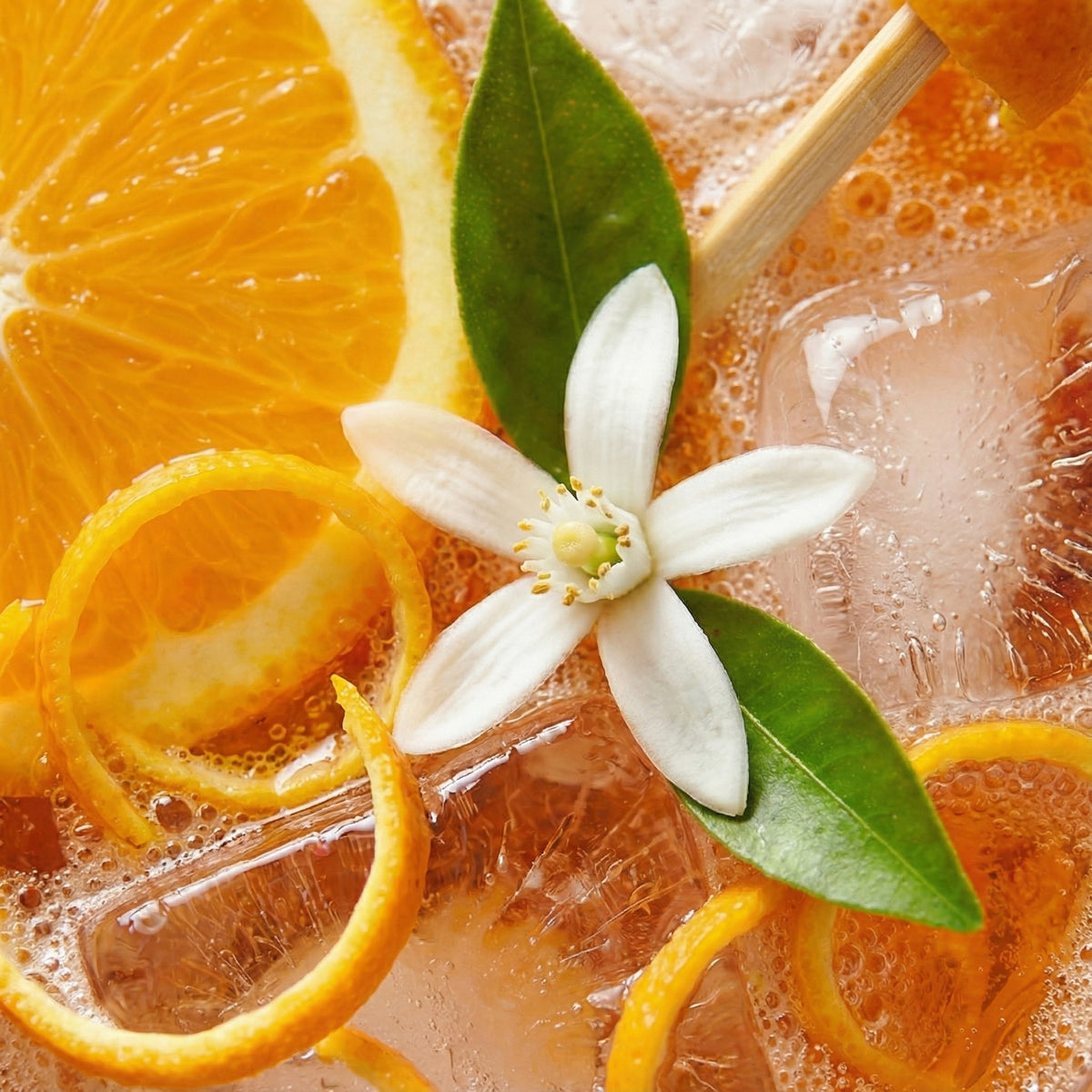 Close-up of sliced oranges, a flower, and leaves on a bubbly background