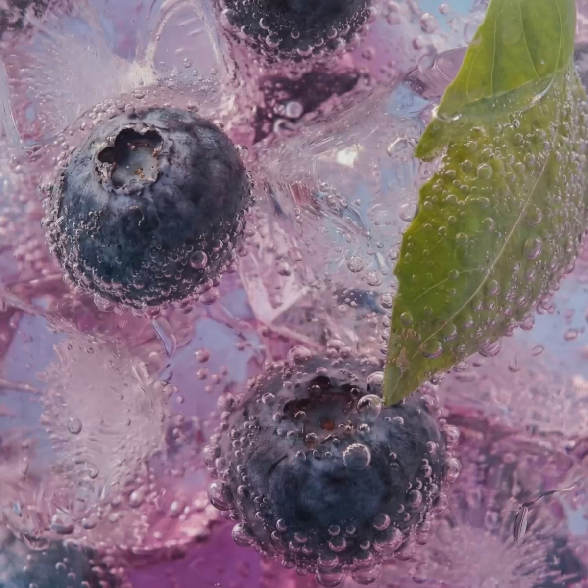 Fresh blueberries with ice and sparkling bubbles closeup