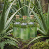 Mineral Restore wellness bottles surrounded by aloe vera plants